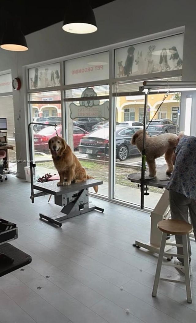 6676 Sterling Rd, Davie, FL 33024 Photo