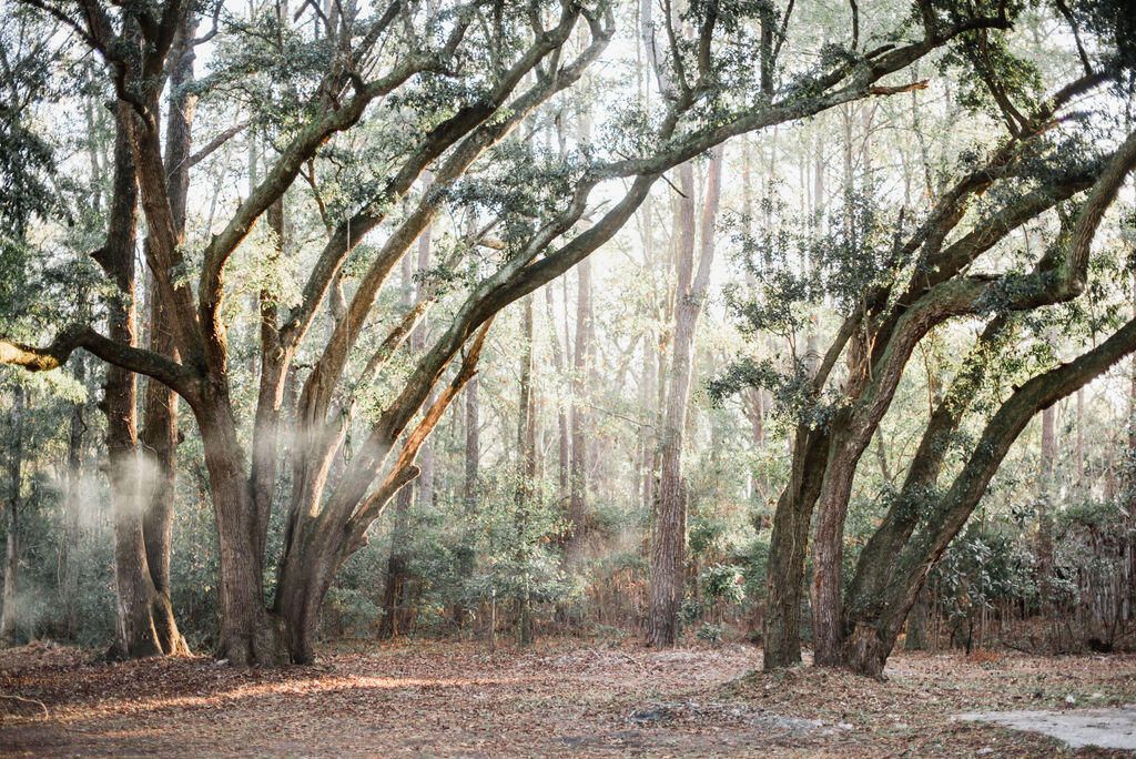 3480 Johan Boulevard Photo 41