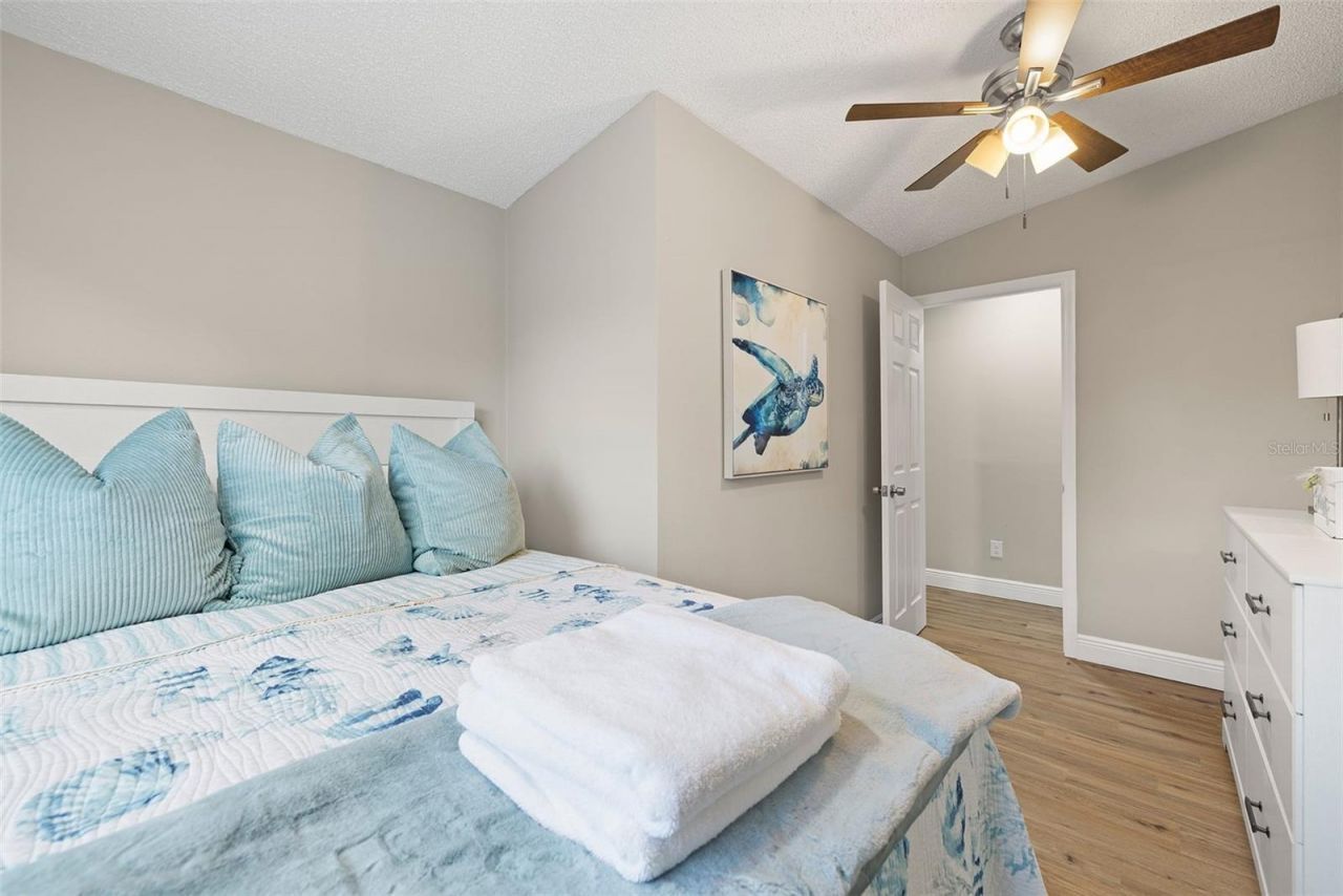 551 Omaha Street, Palm Harbor, FL 34683 Photo