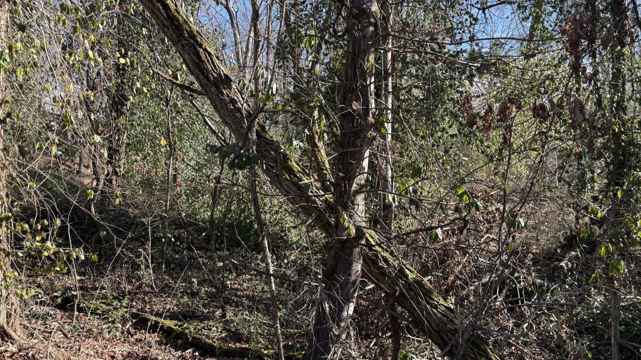 0 Skyline Park Drive, Signal Mountain, TN 37377 Main Photo