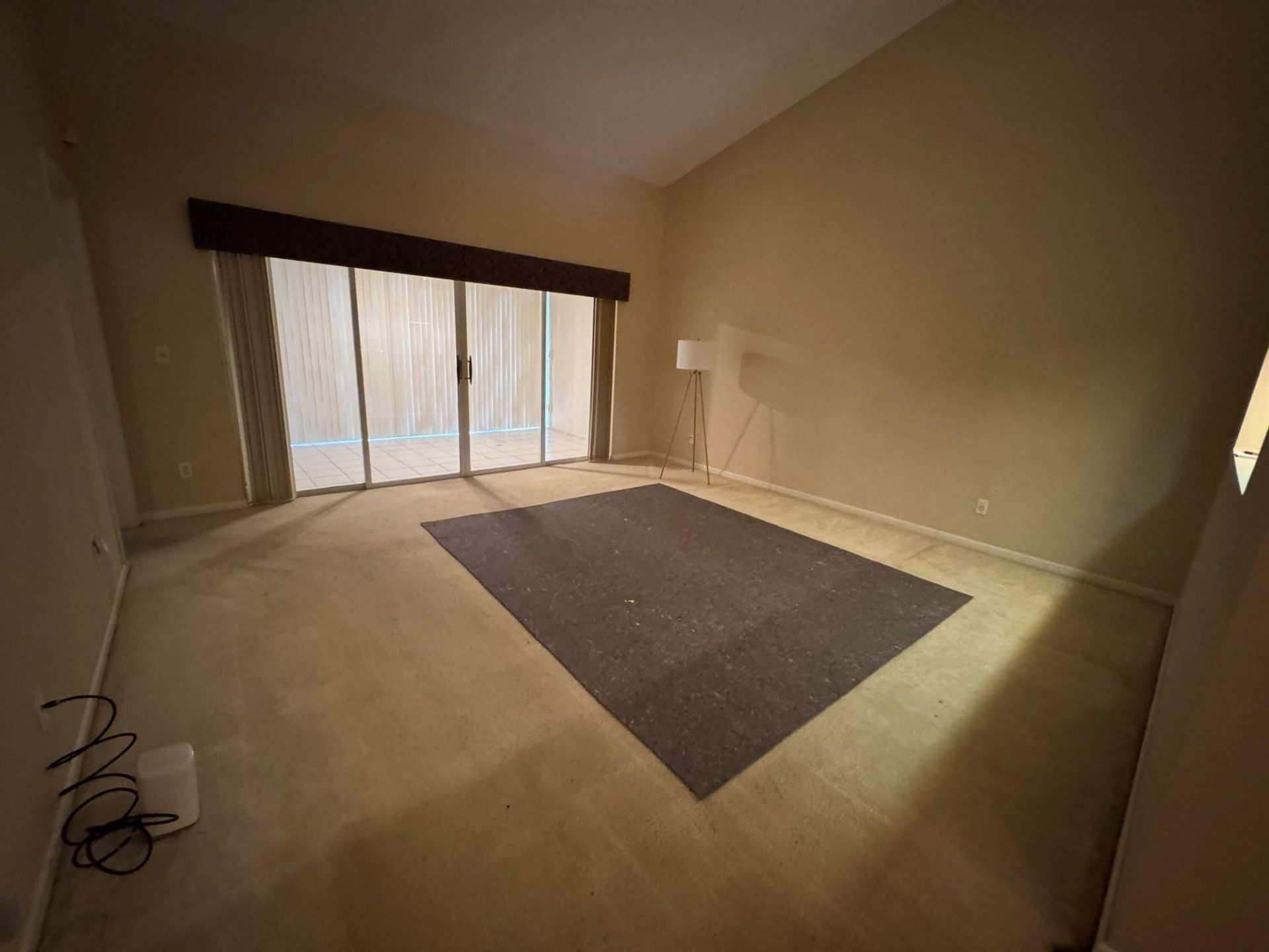 1665 Wood Fern Drive, Boynton Beach, FL 33436 Photo