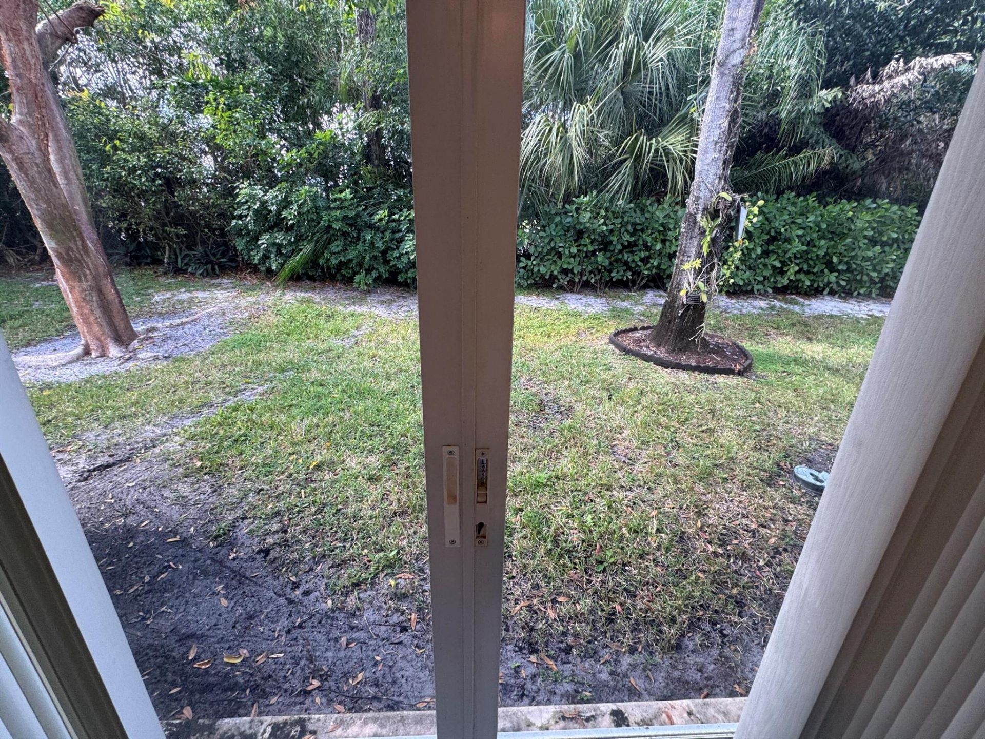 1665 Wood Fern Drive, Boynton Beach, FL 33436 Photo