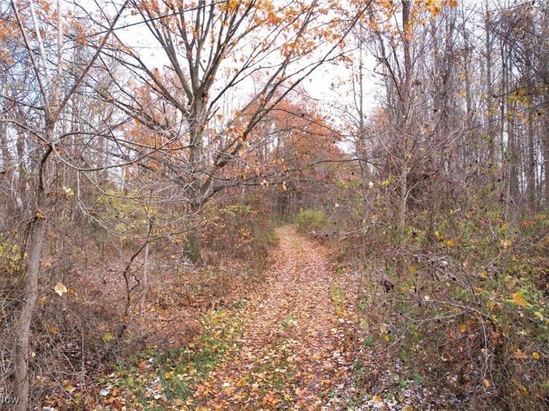 John Thomas Road, Ravenna, OH 44266 Photo 6