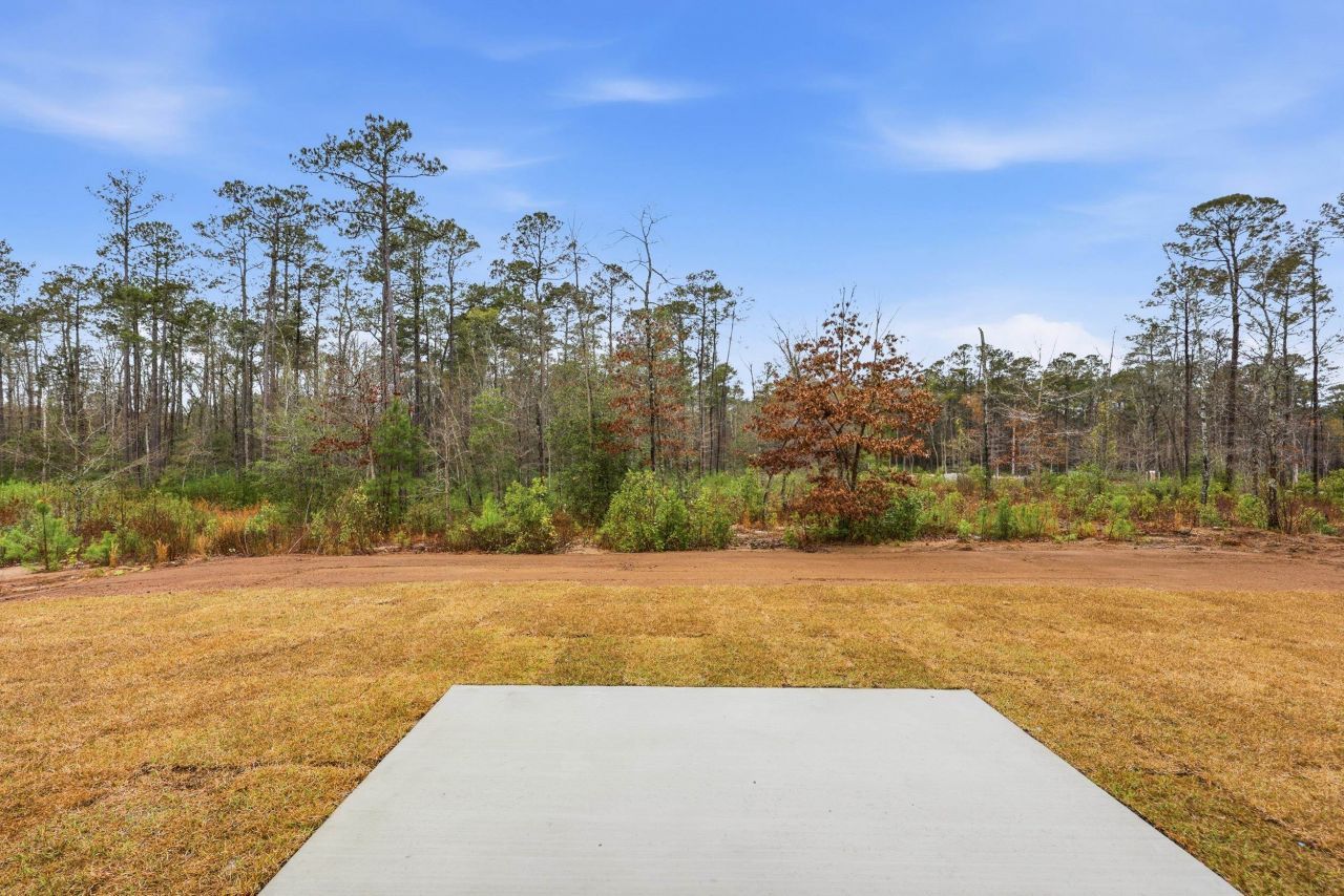 7877 E Highway 19 Photo 39