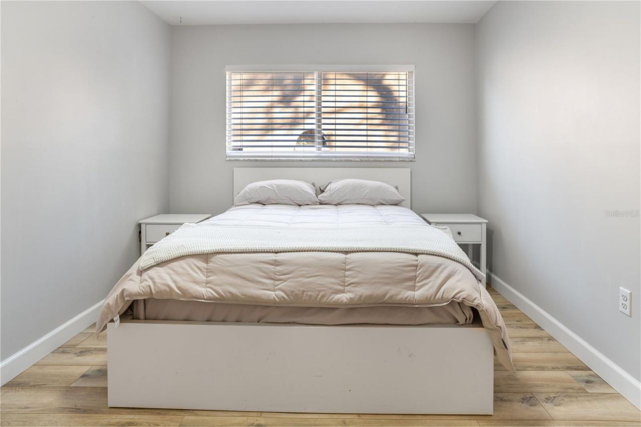 24473 Painter Drive, Land O Lakes, FL 34639 Photo