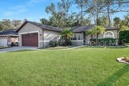 24473 Painter Drive, Land O Lakes, FL 34639 Photo