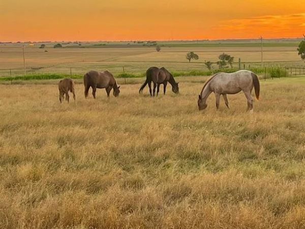 03 E County Road 157, Blair, OK 73526