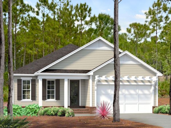 113 Green Heron Street, Unit Lot 63, Watersound, FL 32461