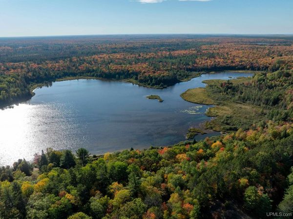 TBD Buckhorn Drive, Au Train Twp, MI 49895