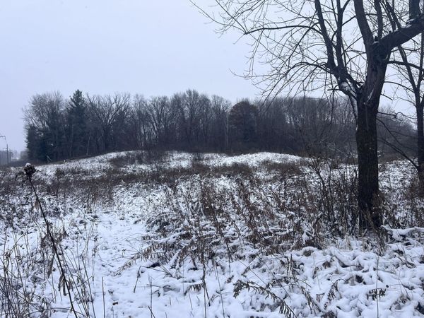 tbd County Line Avenue, Black Brook Twp, WI 54005