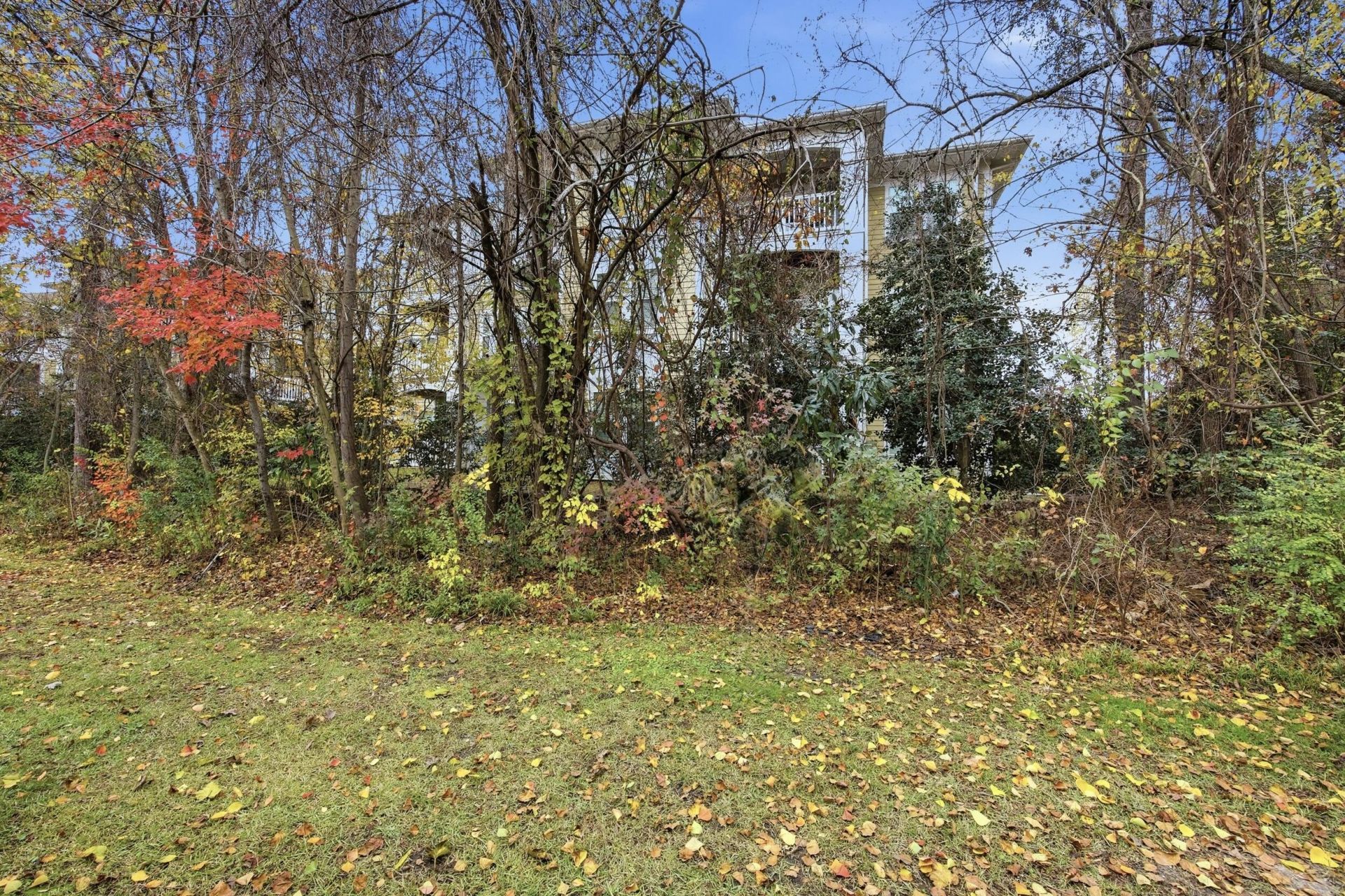 116 Brockman Way Photo 21