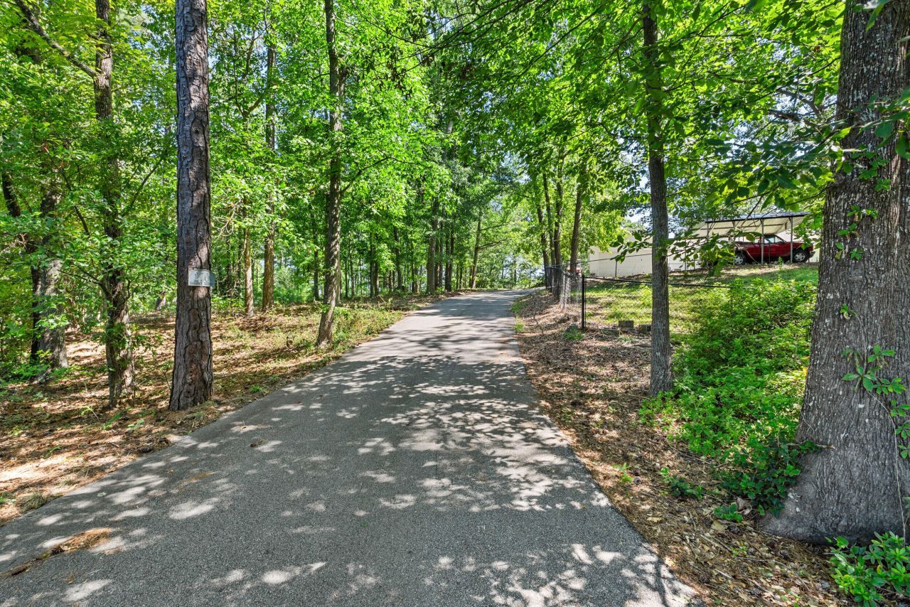 270 Harrison Point Photo 47