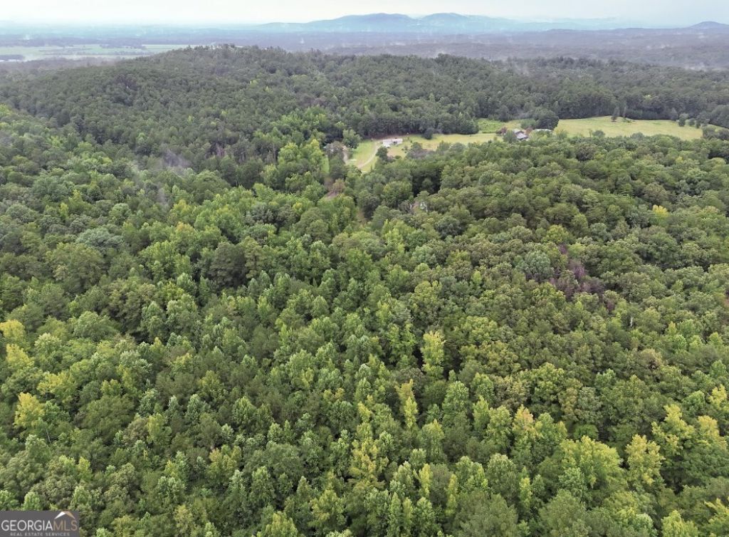 0 Hopeful Road, Lot #LOT 1, Munford, AL 36268 Main Photo