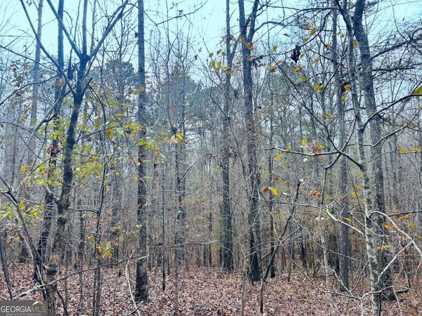 0 Hopeful Road, Unit LOT 2, Munfurd, AL 36268
