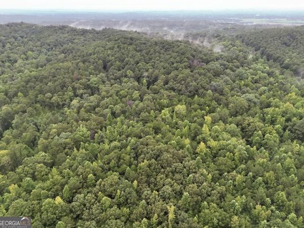0 Hopeful Road, Unit LOT 2, Munfurd, AL 36268