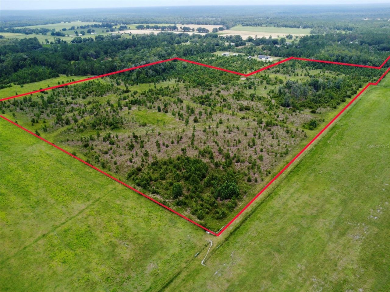 Tbd Cr 235, Brooker, FL 32622 Photo