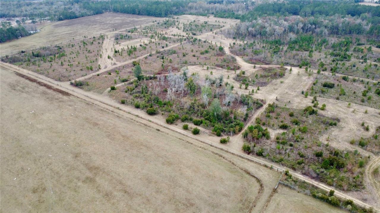 Tbd Cr 235, Brooker, FL 32622 Photo