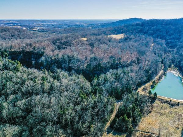 0 Red Tuttle Road, Bethpage, TN 37022