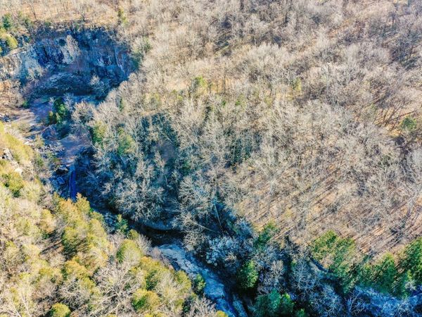 0 Red Tuttle Road, Bethpage, TN 37022