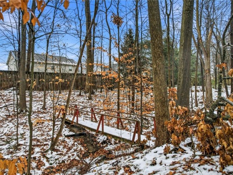 675 Blueberry Hill Drive, Canfield, OH 44406 Photo 6