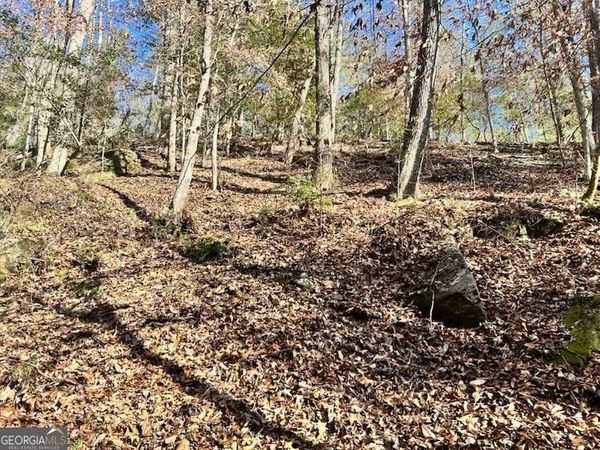 0 Corinth Church Road, Cleveland, GA 30528