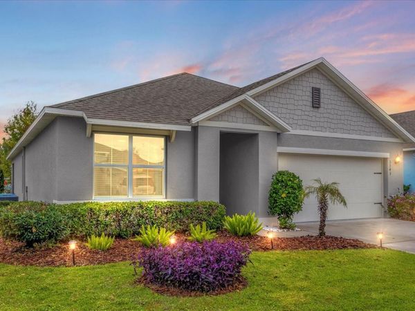 3343 WOLF RUN ROAD, MOUNT DORA, FL 32757