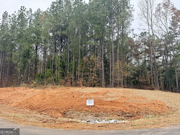 LOT 19 Rolling Meadows Way, Waverly Hall, GA 31831