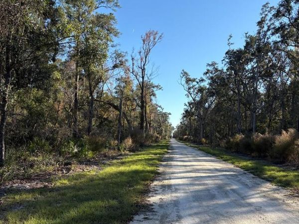 Lot #6 203rd Ave, Old Town, FL 32680