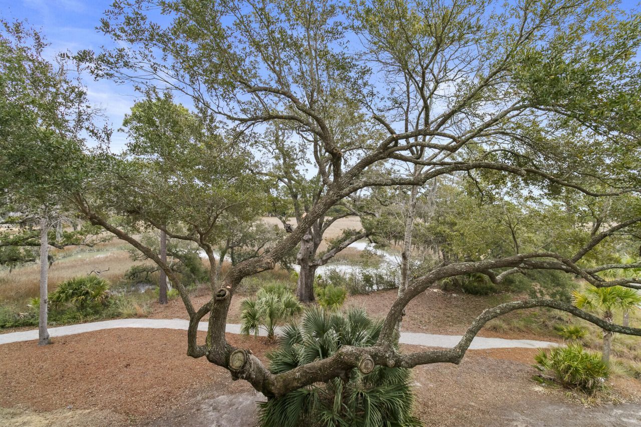 136 Fairbanks Oak Alley Photo 24