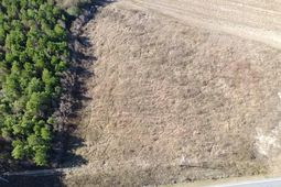 1.70 Acres-tbd West Dogwood Rd. photo 4