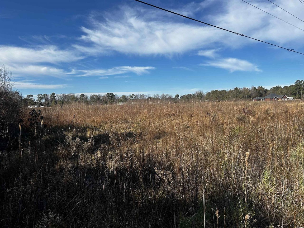 1.70 Acres-tbd West Dogwood Rd. Photo 5