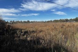 1.70 Acres-tbd West Dogwood Rd. photo 4