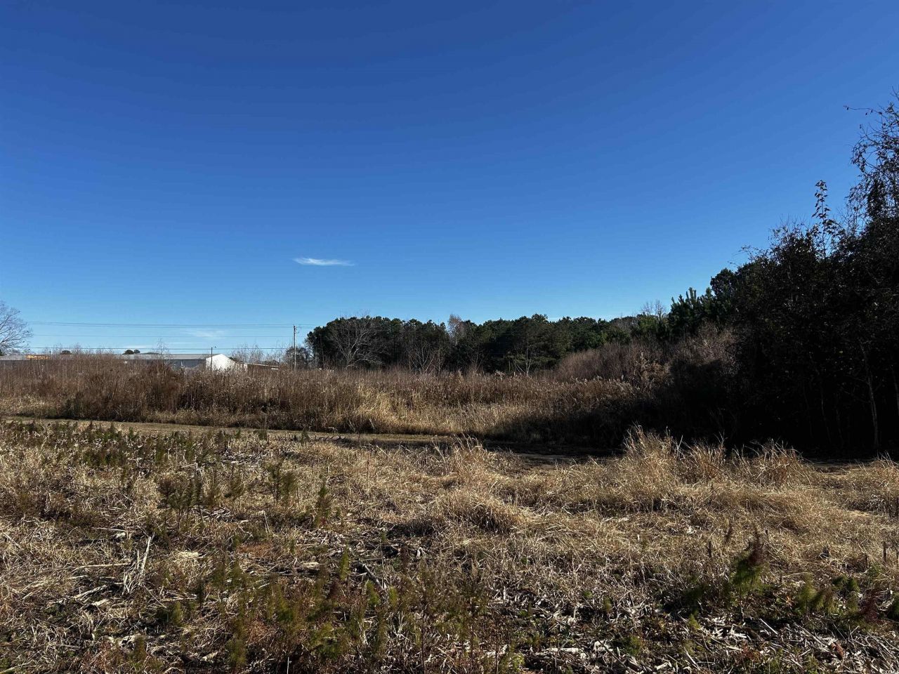 1.70 Acres-tbd West Dogwood Rd. Photo 7