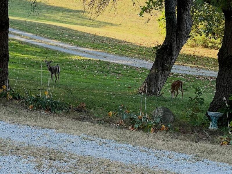 681 Mount Zion Road SW, Lancaster, OH 43130 Photo 126