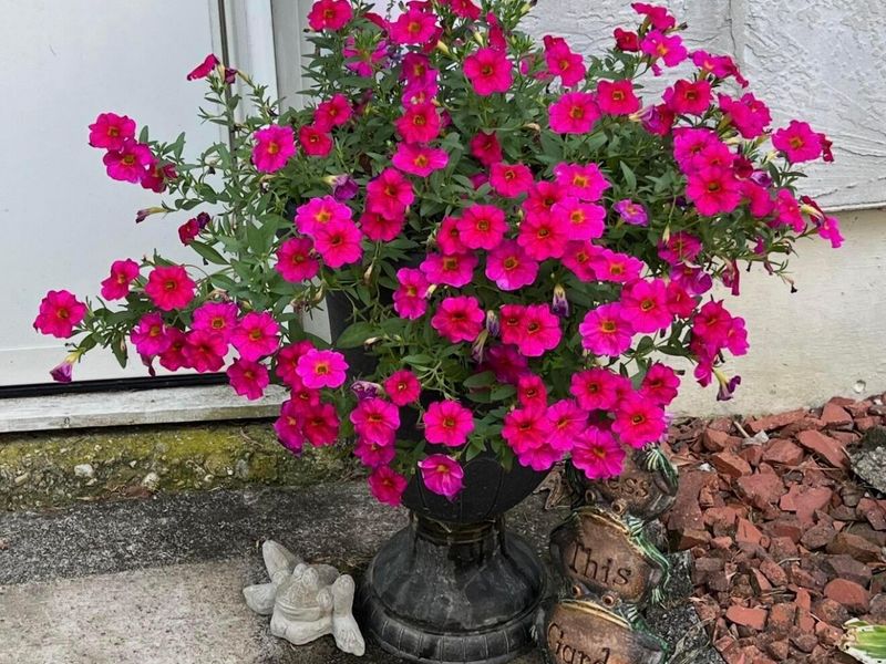 681 Mount Zion Road SW, Lancaster, OH 43130 Photo 132