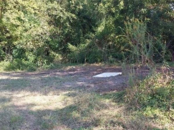 lot 1 Davis Lane , Mullins, SC 29574