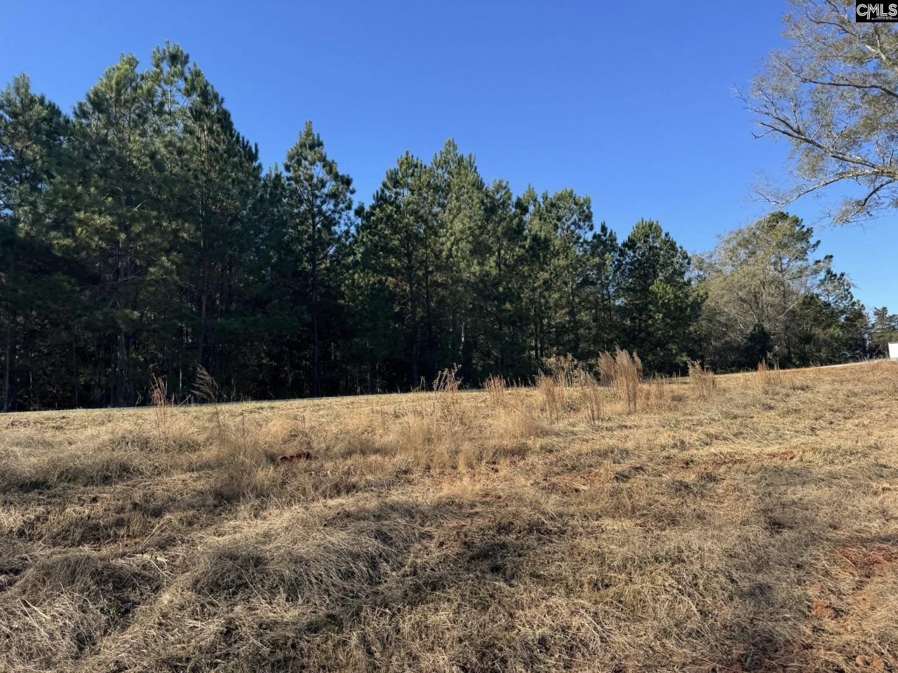 Sc 215 Highway  Photo 10