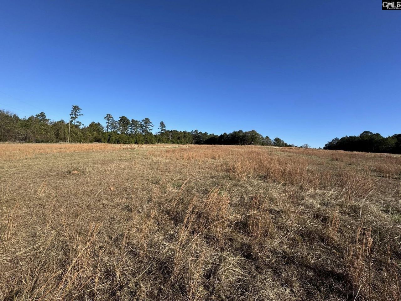 Sc 215 Highway  Photo 13