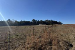 Sc 215 Highway  photo 4