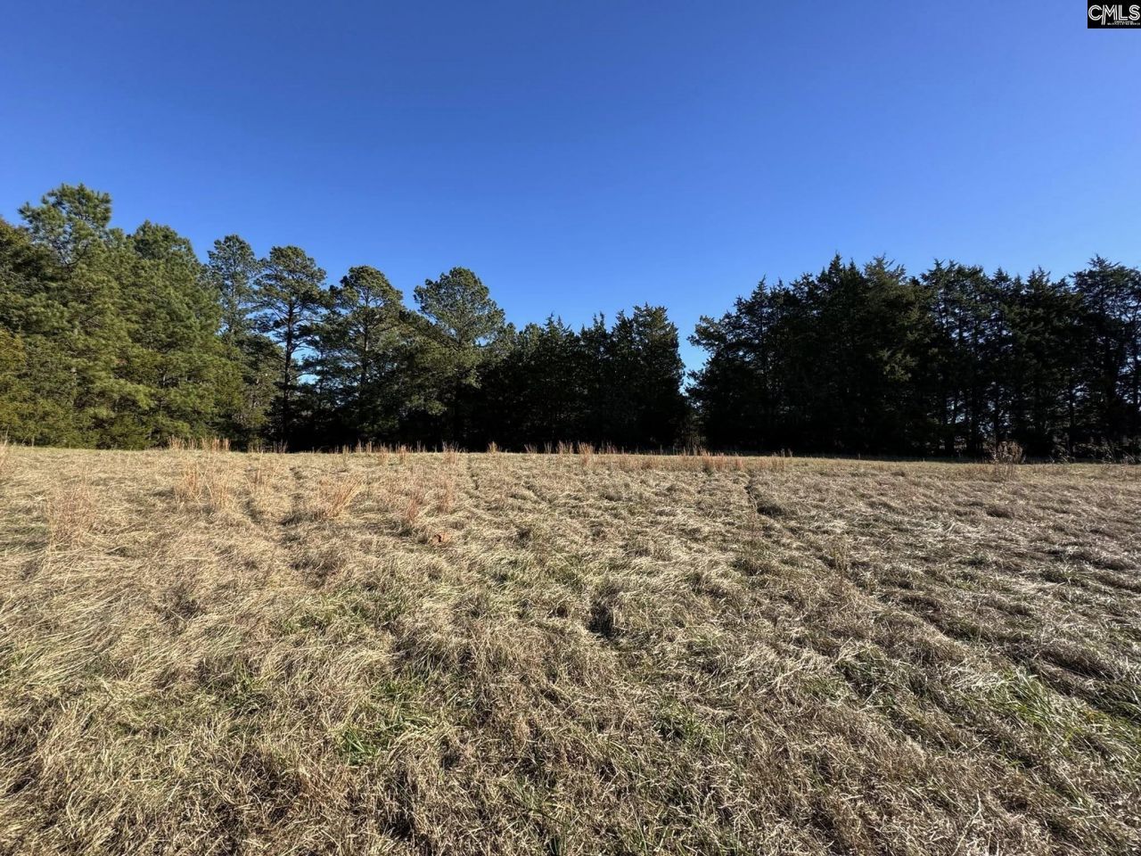 Sc 215 Highway  Photo 22