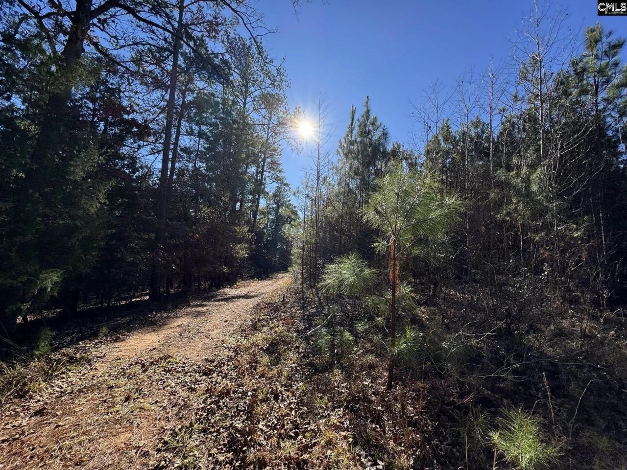 Sc 215 Highway  Photo 26