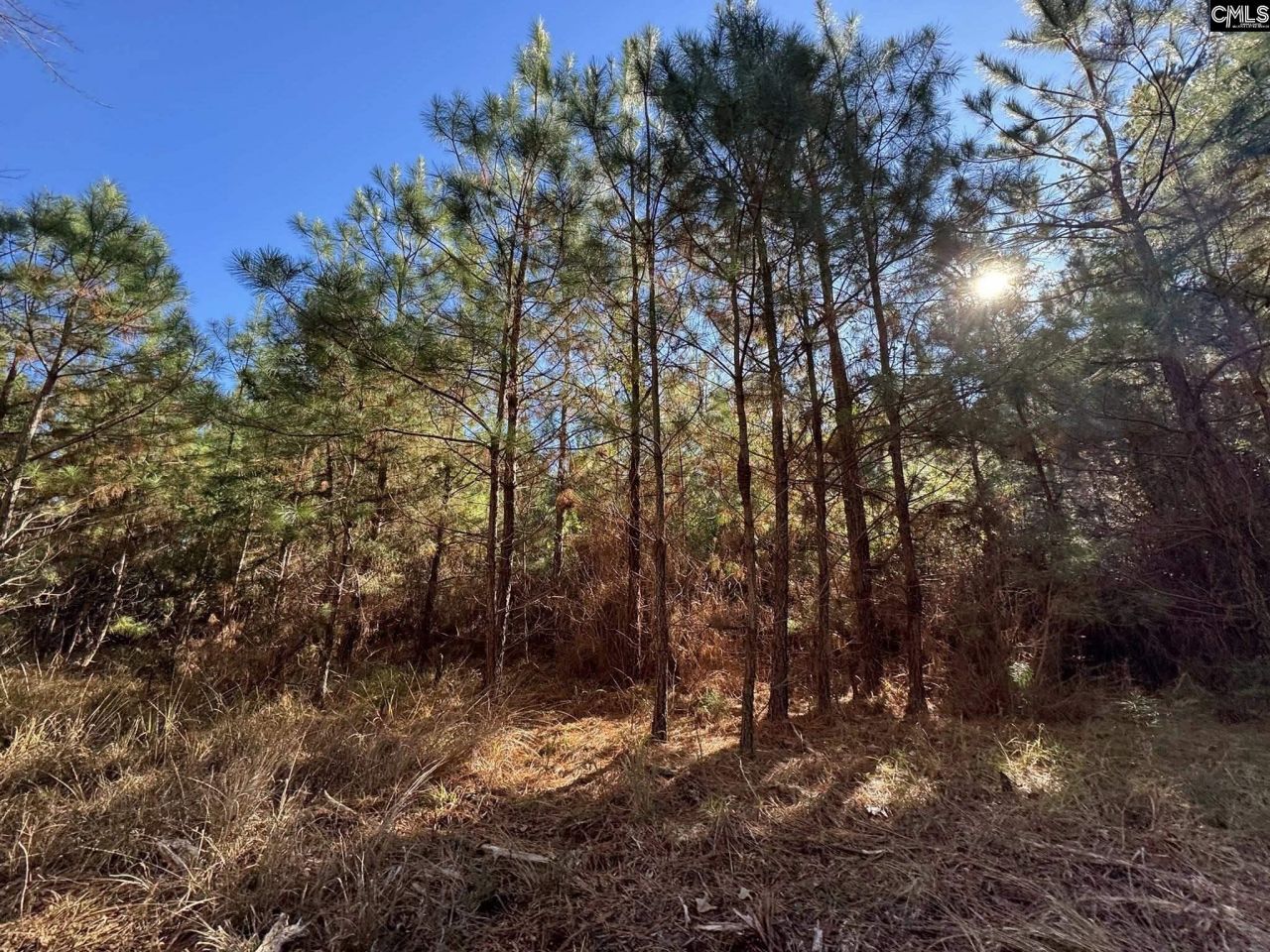 Sc 215 Highway  Photo 28