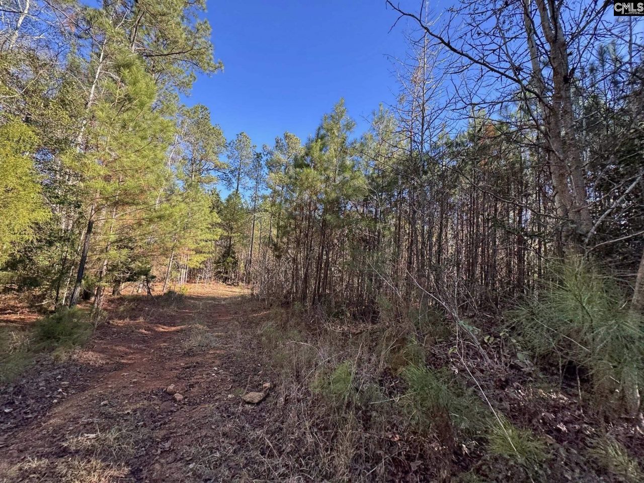 Sc 215 Highway  Photo 29