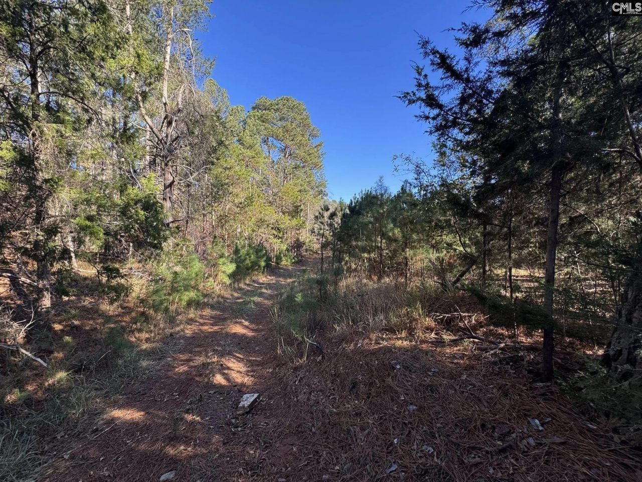 Sc 215 Highway  Photo 30