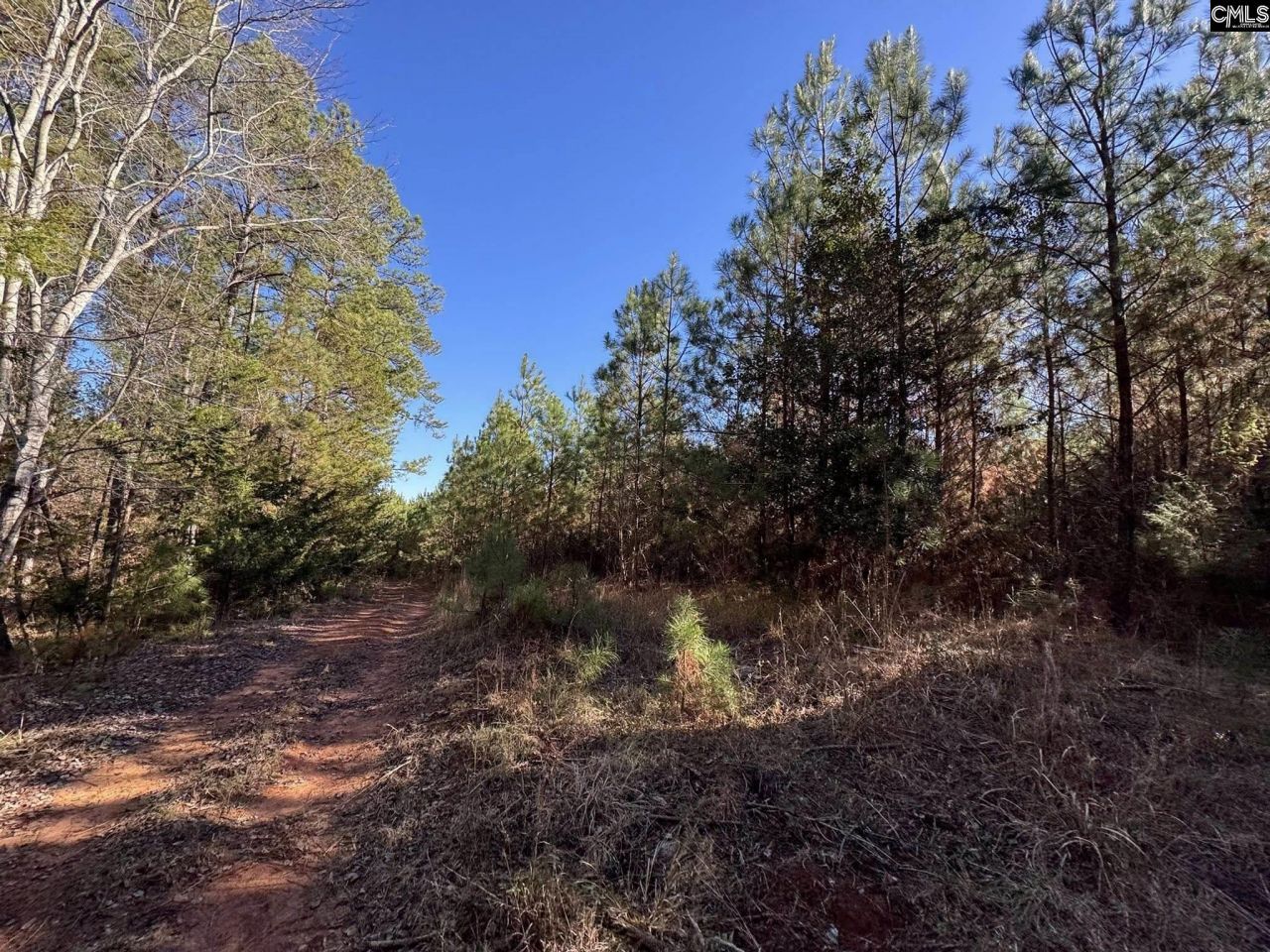 Sc 215 Highway  Photo 31