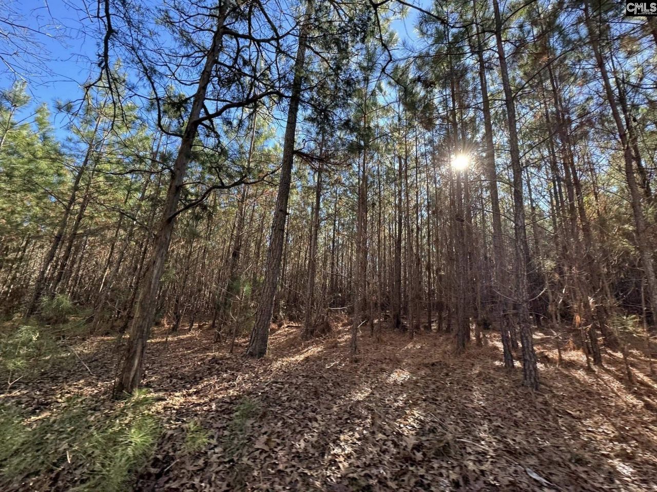 Sc 215 Highway  Photo 32