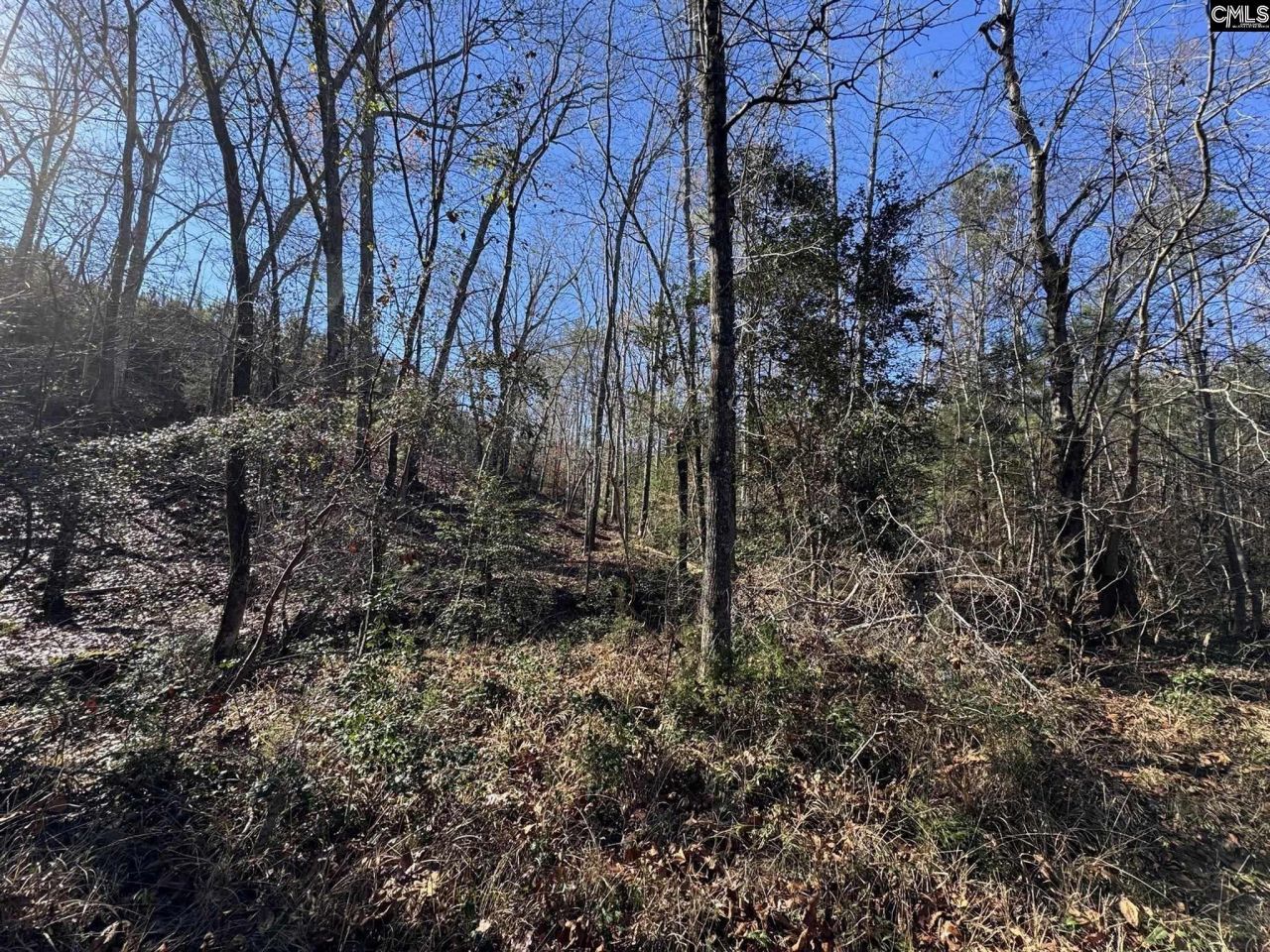 Sc 215 Highway  Photo 33