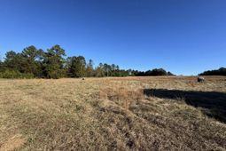 Sc 215 Highway  photo 4