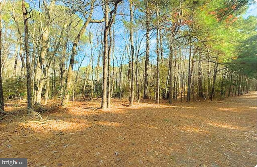 Lot 18 PEACEFUL WAY, EXMORE, VA 23350