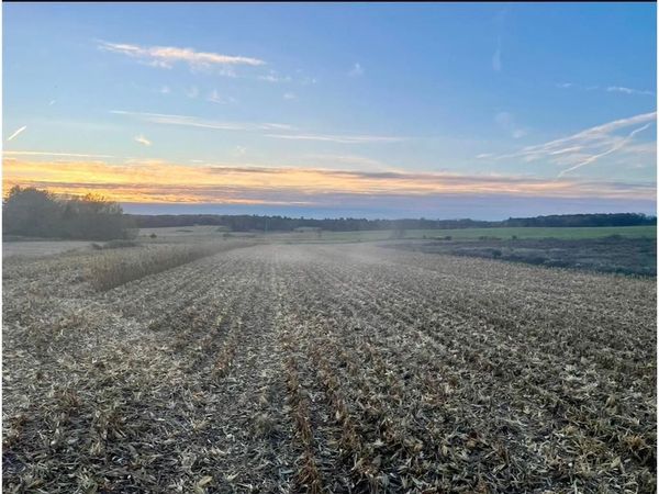 TBD 85th Street, Clear Lake, WI 54005